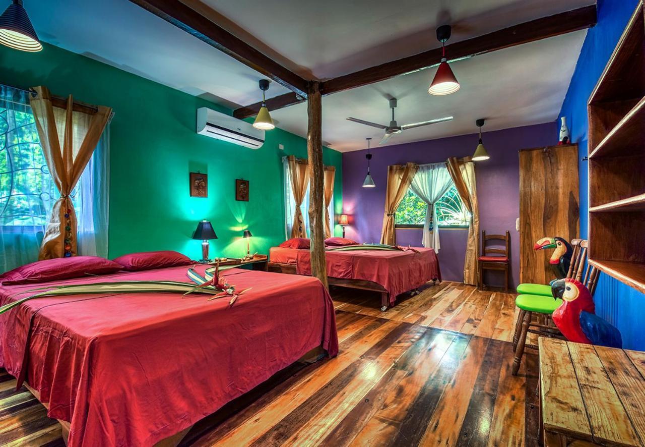 Congo Bongo Ecovillage Costa Rica Puerto Viejo de Talamanca Экстерьер фото