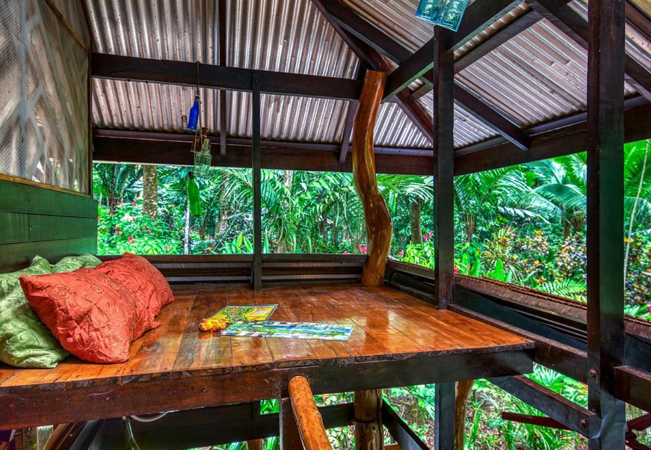 Congo Bongo Ecovillage Costa Rica Puerto Viejo de Talamanca Экстерьер фото