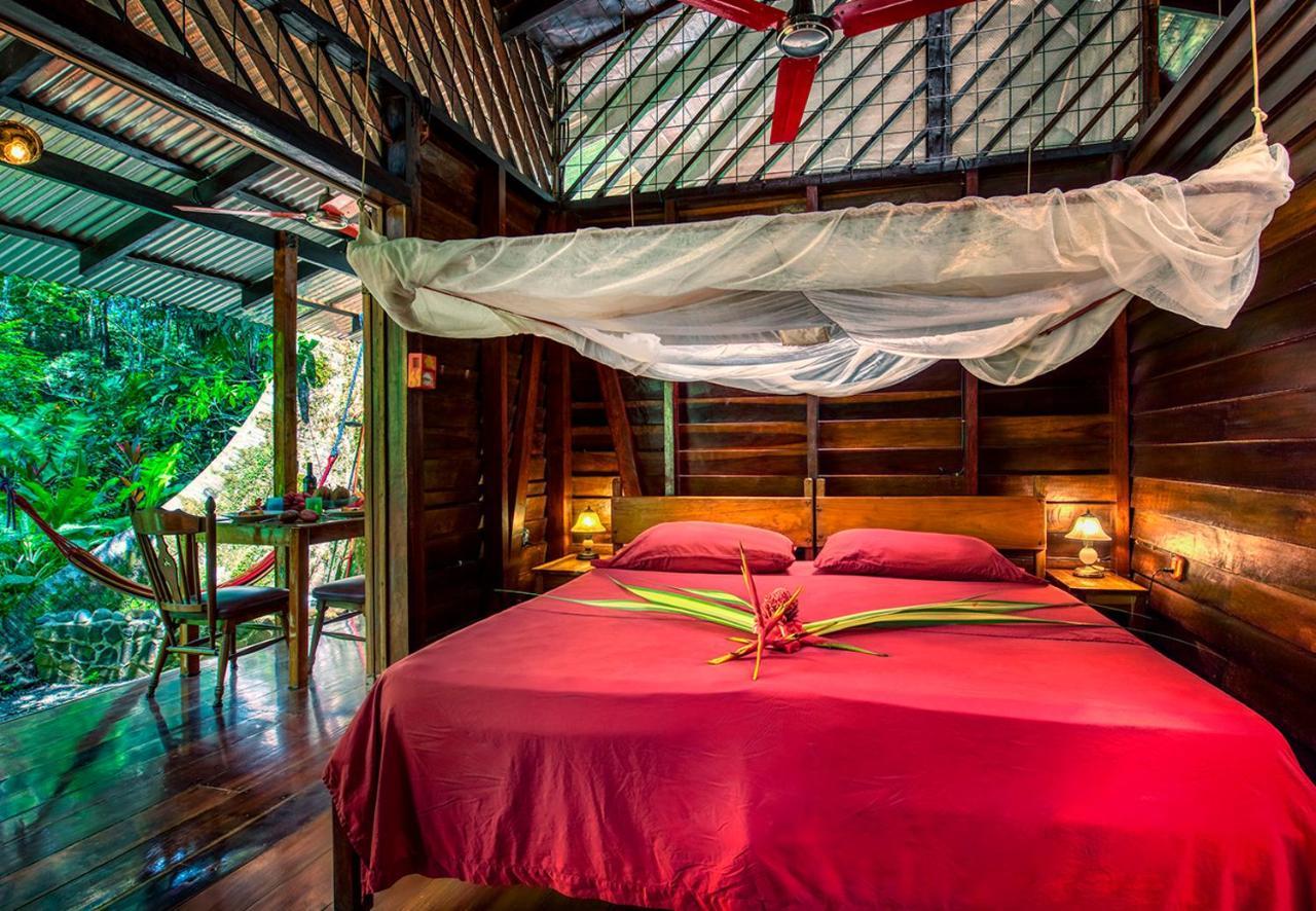Congo Bongo Ecovillage Costa Rica Puerto Viejo de Talamanca Экстерьер фото