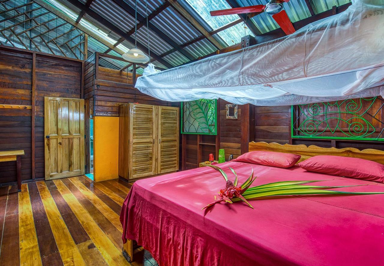 Congo Bongo Ecovillage Costa Rica Puerto Viejo de Talamanca Экстерьер фото