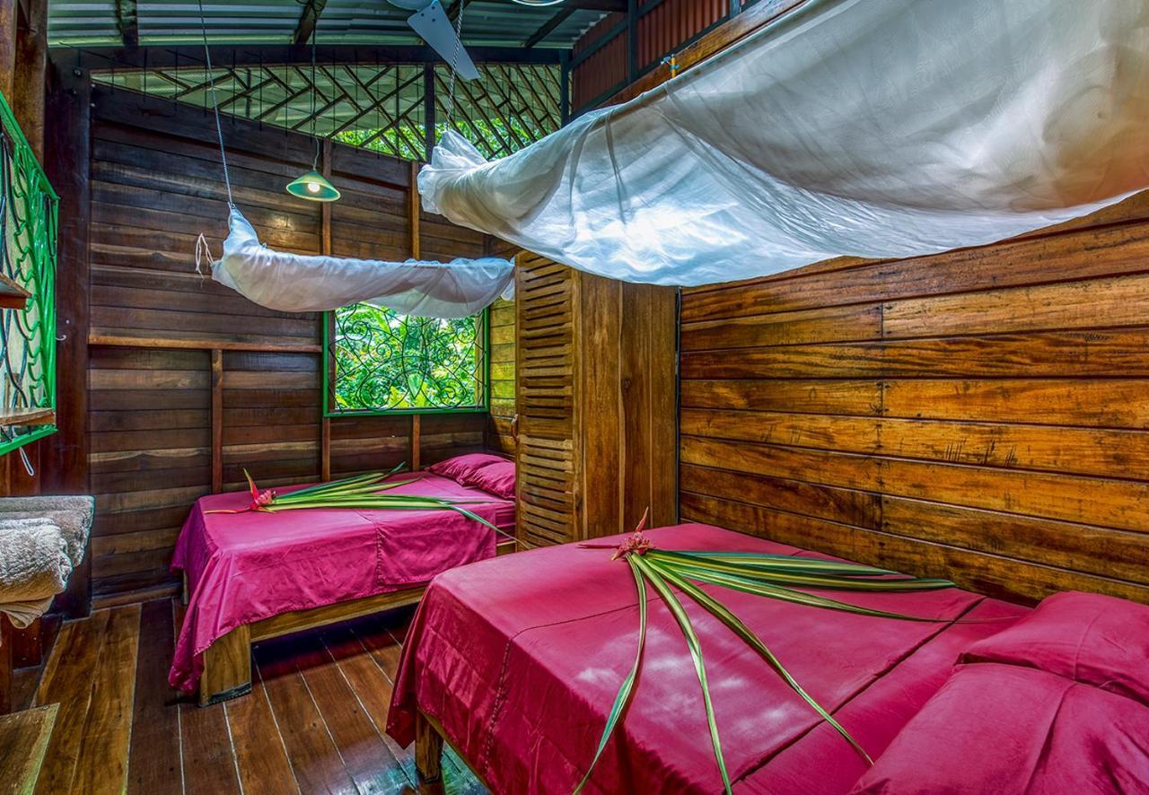 Congo Bongo Ecovillage Costa Rica Puerto Viejo de Talamanca Экстерьер фото